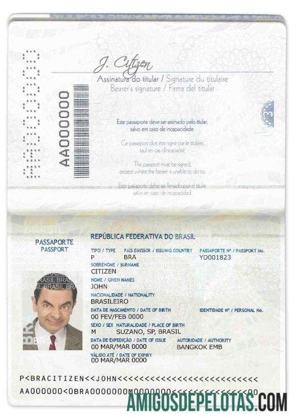 Passaporte Brasil (2016 2019) baixar para verificação